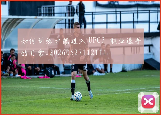 如何训练才能进入 UFC？职业选手的日常_20260527112111