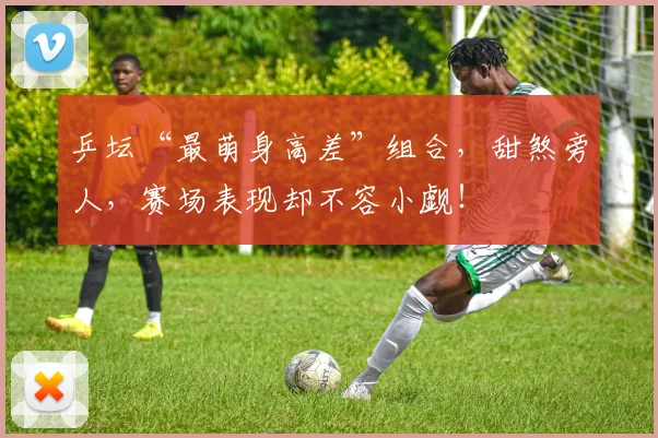 乒坛“最萌身高差”组合，甜煞旁人，赛场表现却不容小觑！